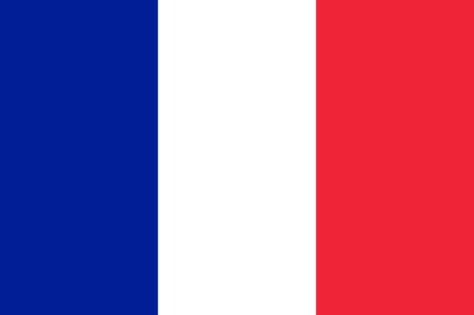 Parijs flag